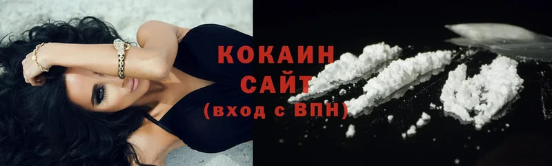 Кокаин Fish Scale  хочу   кракен как зайти  Краснослободск 